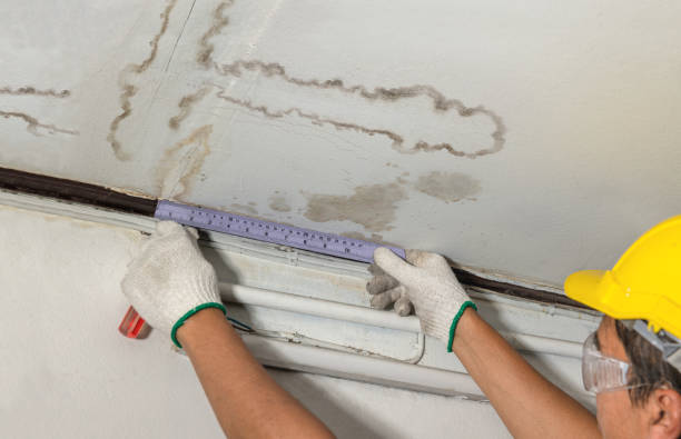 24/7 Emergency Structural Drying experts in Hamburg, MN